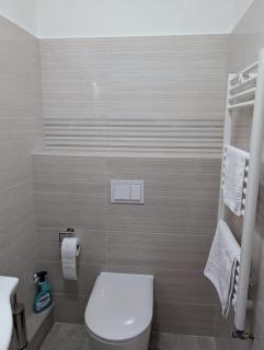 Christian City Apartament - Timişoara - 8