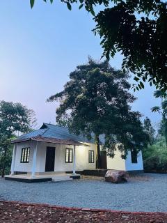 Mountain View room Paithalvillage - Paithalmala - 6