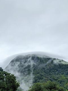 Mountain View room Paithalvillage - Paithalmala - 4