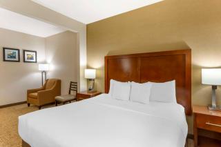 Comfort Inn & Suites Jerome - Twin Falls - 4