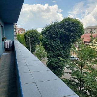 Apartament Very BIG - 3