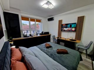 Modern Studio 2 - Onești - 7