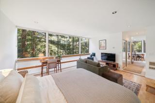 Mill Valley Treehouse Apt apts - Mill Valley - 2