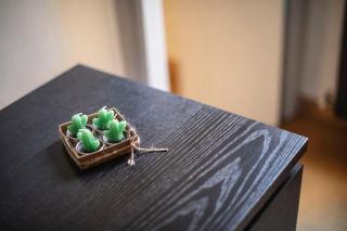 Casa Broccoletti - Rome - 5