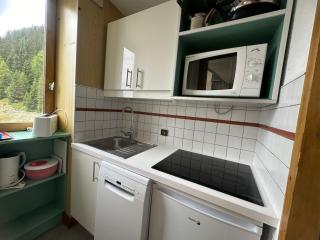 Studio Divisible Fonctionnel · Accès Direct Pistes · Balcon · 4 Pers - FR-1-181-2242 - La Plagne Tarentaise - 9