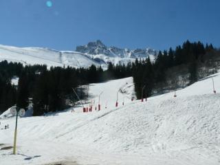 Studio cosy près des pistes à Valmorel, animaux admis - FR-1-356-349 - Valmorel - 1
