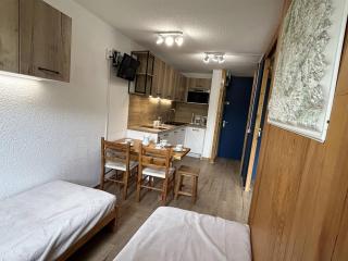 Studio divisible avec balcon, proche des pistes, animaux admis - FR-1-355-161 - Les Allues - 4