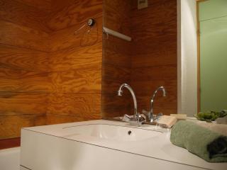 Studio divisible avec balcon, proche des pistes, animaux admis - FR-1-355-161 - 3