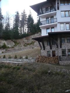 Apartment Snezhanka - Pamporovo - 6