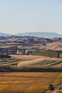 Modern and spacious with river and vineyard views - Kereru - 7