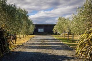 Modern and spacious with river and vineyard views - Kereru - 4