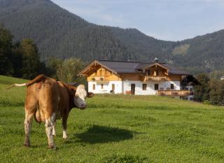 Ferienwohnung Hirnsberglehen - Bischofswiesen - 4