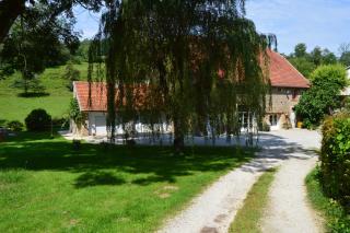 Le Moulin au Fil de l'Eau - 7