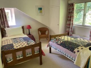 The Snicket - Cheltenham - 9