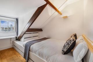 Marais Rooftop Apartment - 6