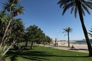 Charmant T1 de 30 m2 en rez de villa - Tolone - 2