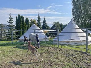 Agroturystyka Kociołek - 5