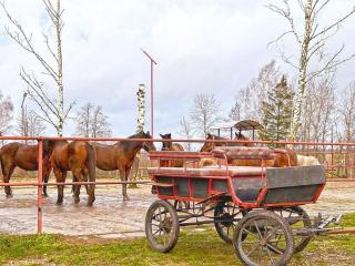 Agroturystyka Kociołek - 9