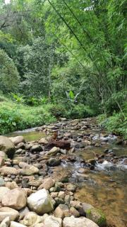 Chertarn Homestay - Ban Pang Bo Hu Bon - 4