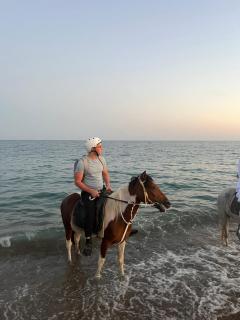 rodeo horse club - Altınkum - 0