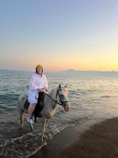 rodeo horse club - 2