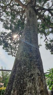 Sayang Di Kaki Bukit - 8
