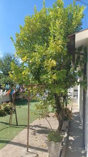 Casa Fatinha - 7