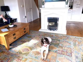 2 Bed in Brixham 73625 - Brixham - 7