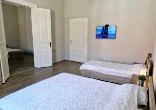 Centar lux 2 - Zrenjanin - 5