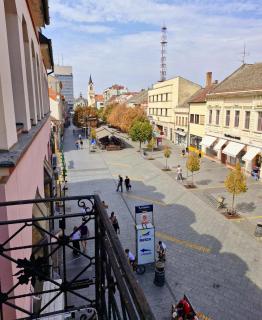 Centar lux 2 - Zrenjanin - 1