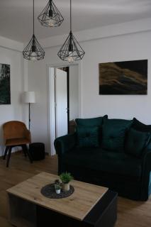 Aria Apartman Sokobanja - 3