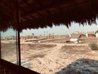 Lar Torus Eco Lodge - Rancho Kite is Surf School - 4