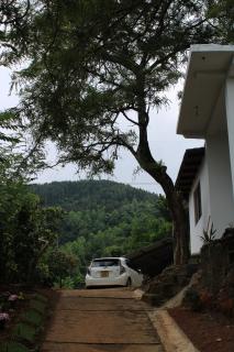 Hilltop Heaven - Kandy - 7
