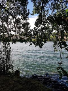 duplex en maison individuelle de 70 m2avec jardin - 2