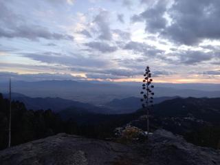 Cabañas Montebello - 8