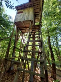 Tree house with private meadow in the middle of the forest - Bytca - 5