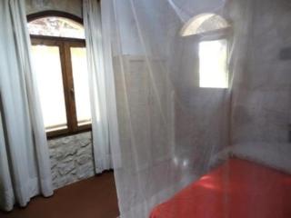 Spiti Papaya - 2
