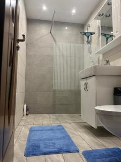 Special apartment NADEVA - Suceava - 3