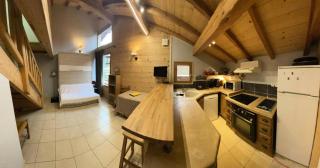Résidence Melezet 1 - Superbe duplex T2 à 100m des pistes secteur point show MAE-9811 - Vars - 0