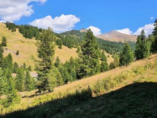 Résidence Lauzet - Studio bien agencé au cœur de Vars MAE-9931 - Vars - 2