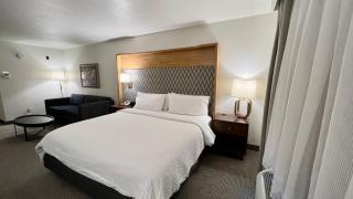 Holiday Inn Rock Springs by IHG - Rock Springs - 8