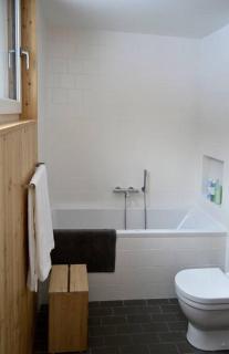 Modern Mountain Retreat - 6