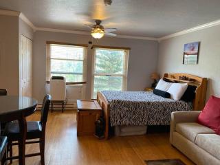 President Studio Pool-Spa Ski-in out Gym, Sauna, Laundry, BBQ - Brian Head - 9