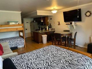 President Studio Pool-Spa Ski-in out Gym, Sauna, Laundry, BBQ - Brian Head - 6