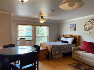 President Studio Pool-Spa Ski-in out Gym, Sauna, Laundry, BBQ - 5