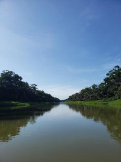 Alma Del Bosque Hotel - Tortuguero - 4