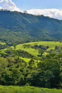 Ecofazenda Lodge - Bofete - 0