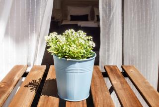Krinis Apartments - Rhodes Town - 9