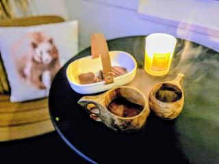 Luxury suite with private sauna free parking - 2