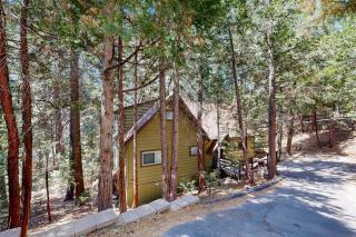 Quiet Wooded Retreat - Lake Arrowhead - 4